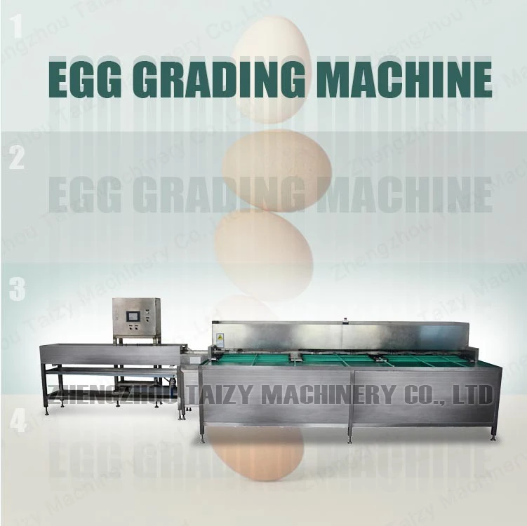 egg sorting machine egg sorting machine