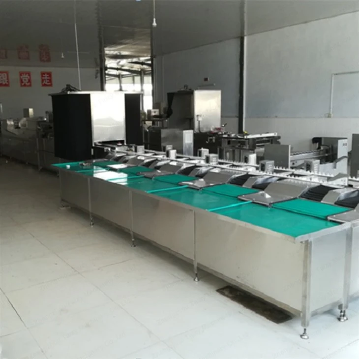 Egg Sorting Machine