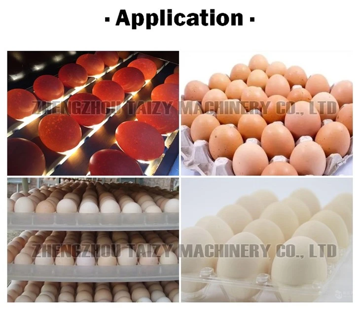 Egg Sorting Machine