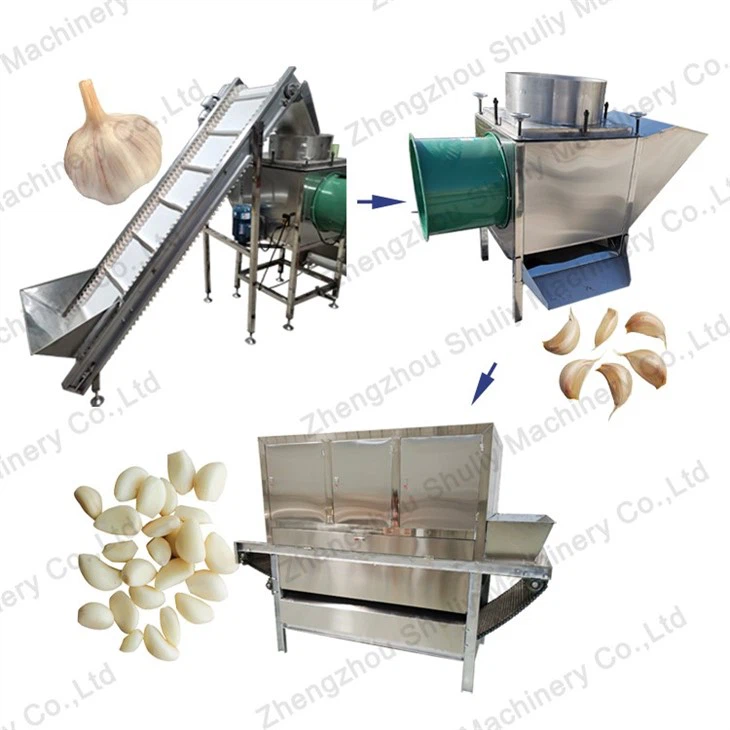 garlic peeling machine process line (3)
